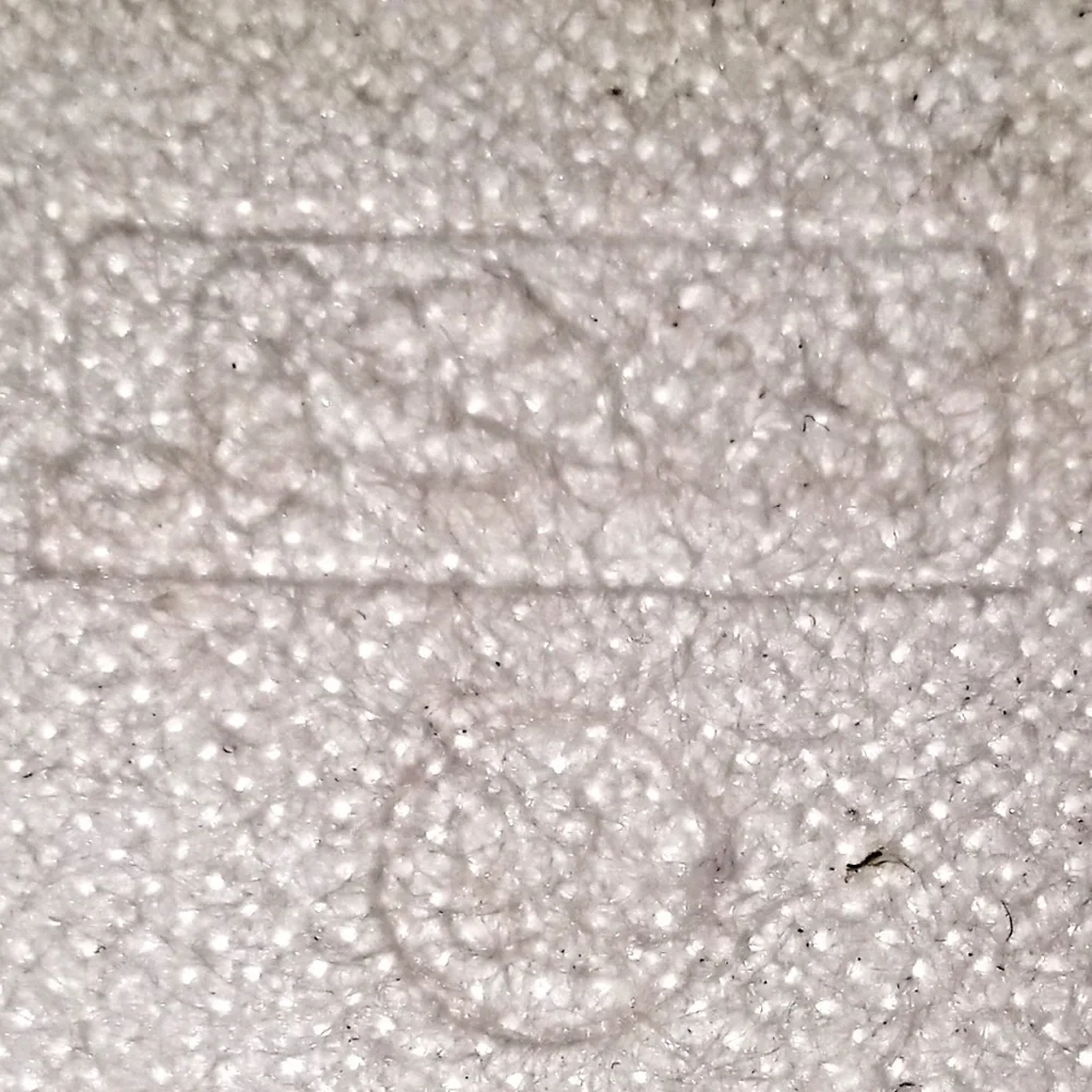 Leopard Print and Gold Star Women's La Sheelah Sneakers size 8.5 - Picture 6 of 11